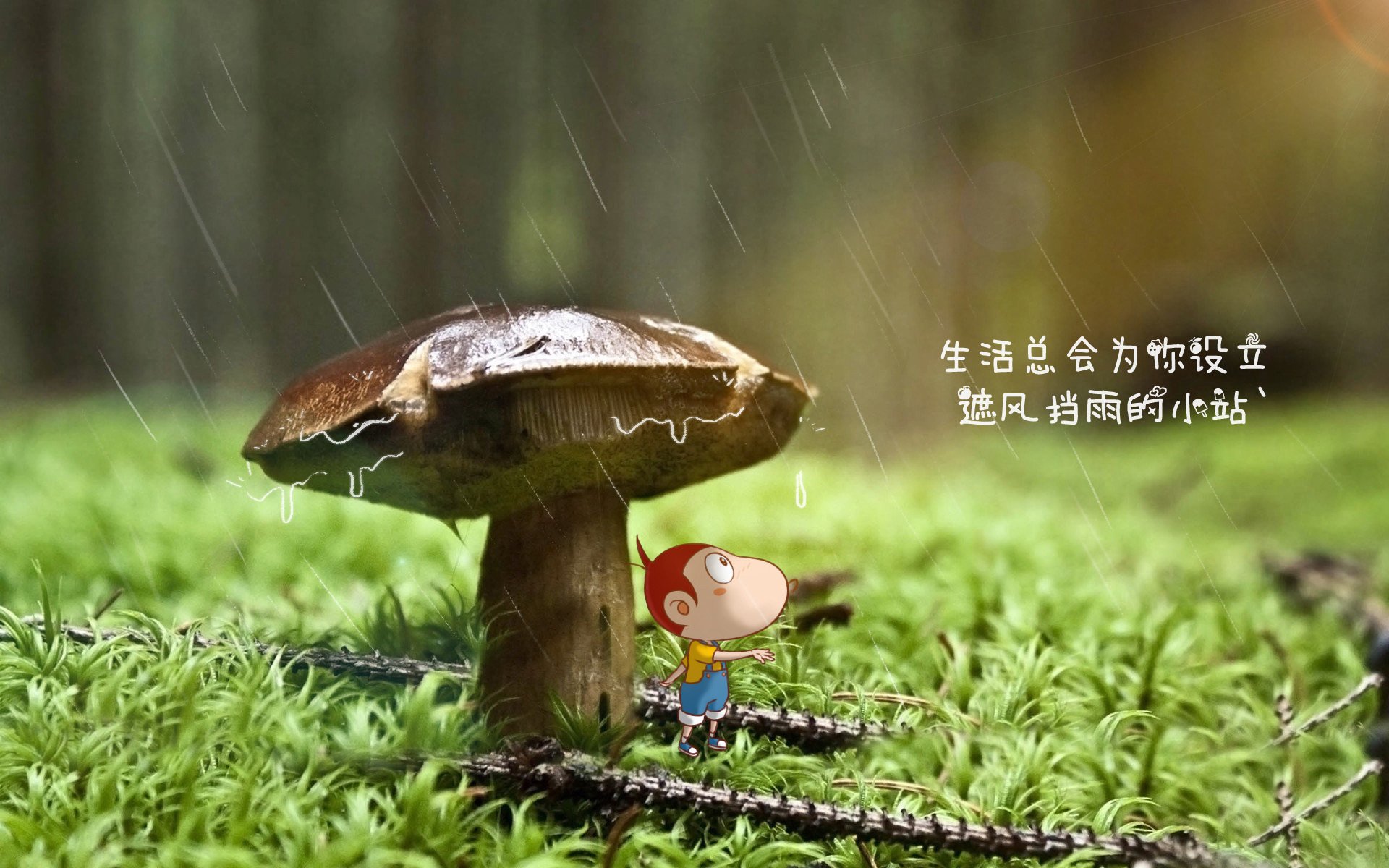 法甲球队视频分析提升防守协作与站位优化实践，法甲 球队