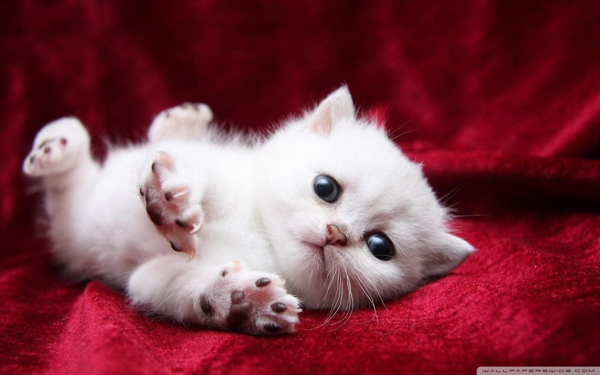 西甲第22轮回顾：巴萨逆转取胜，积分榜尘埃落定，西甲25轮巴萨