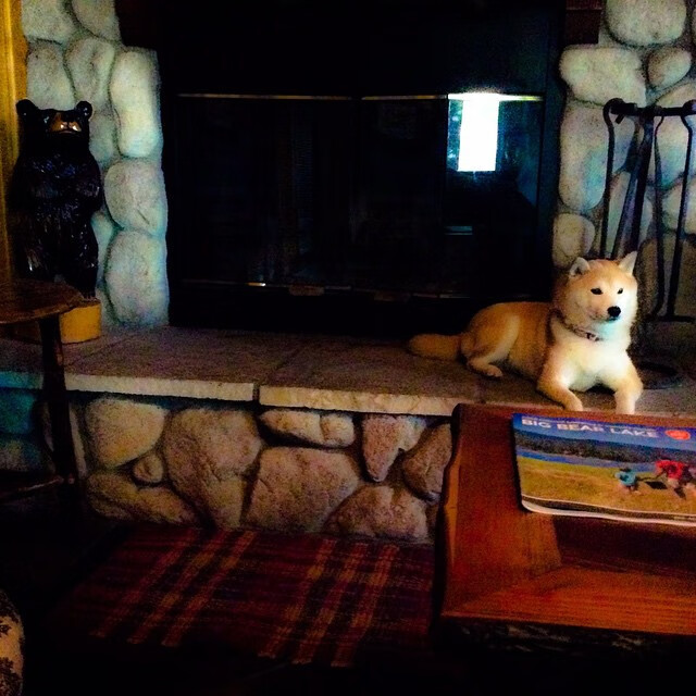 PSG球员反思表现,期望东山再起,psg esports