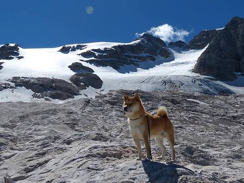 “高新体育中心篮球赛：全场沸腾，精彩绝伦”