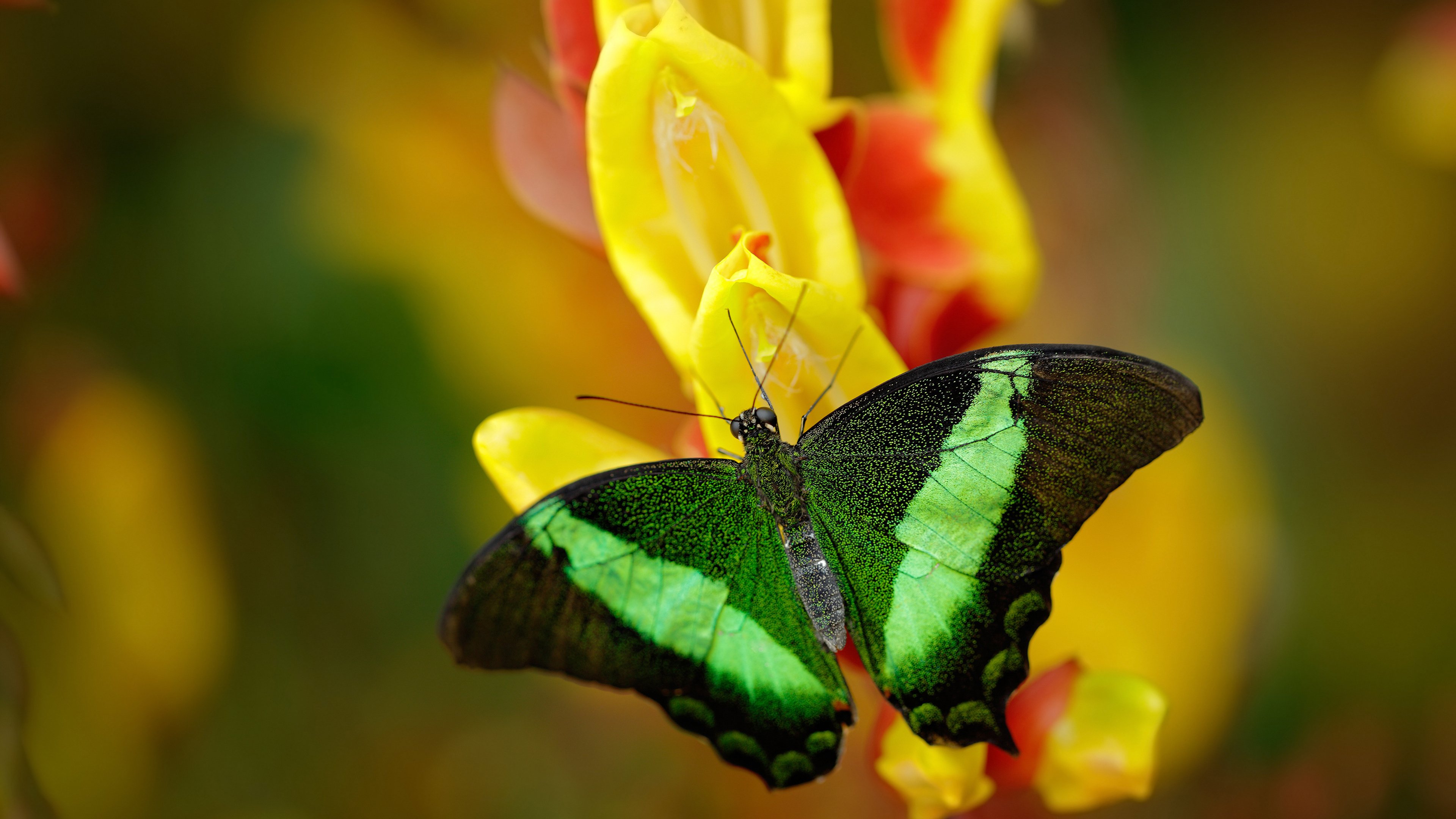 开云全站下载-国家队大名单公布年轻球员比例大幅提升，国家队大名单人数