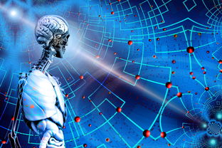 开云官网首页-杨瀚森助攻数据稳步提升展示全能属性，杨翰笙个人介绍