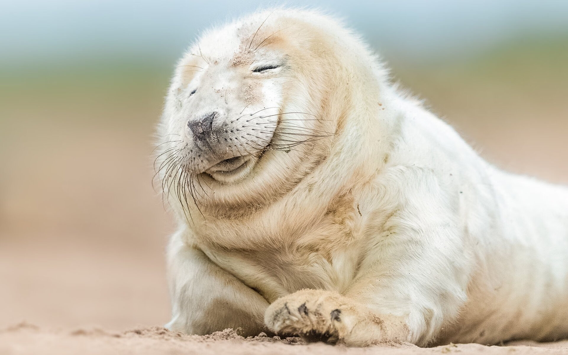 节奏型后卫是否更适合季后赛舞台,节奏型控卫的球鞋