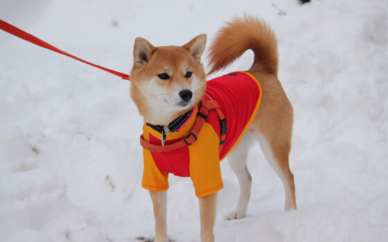 足球联赛赛前热身设计趋于多元,足球职业队赛前热身
