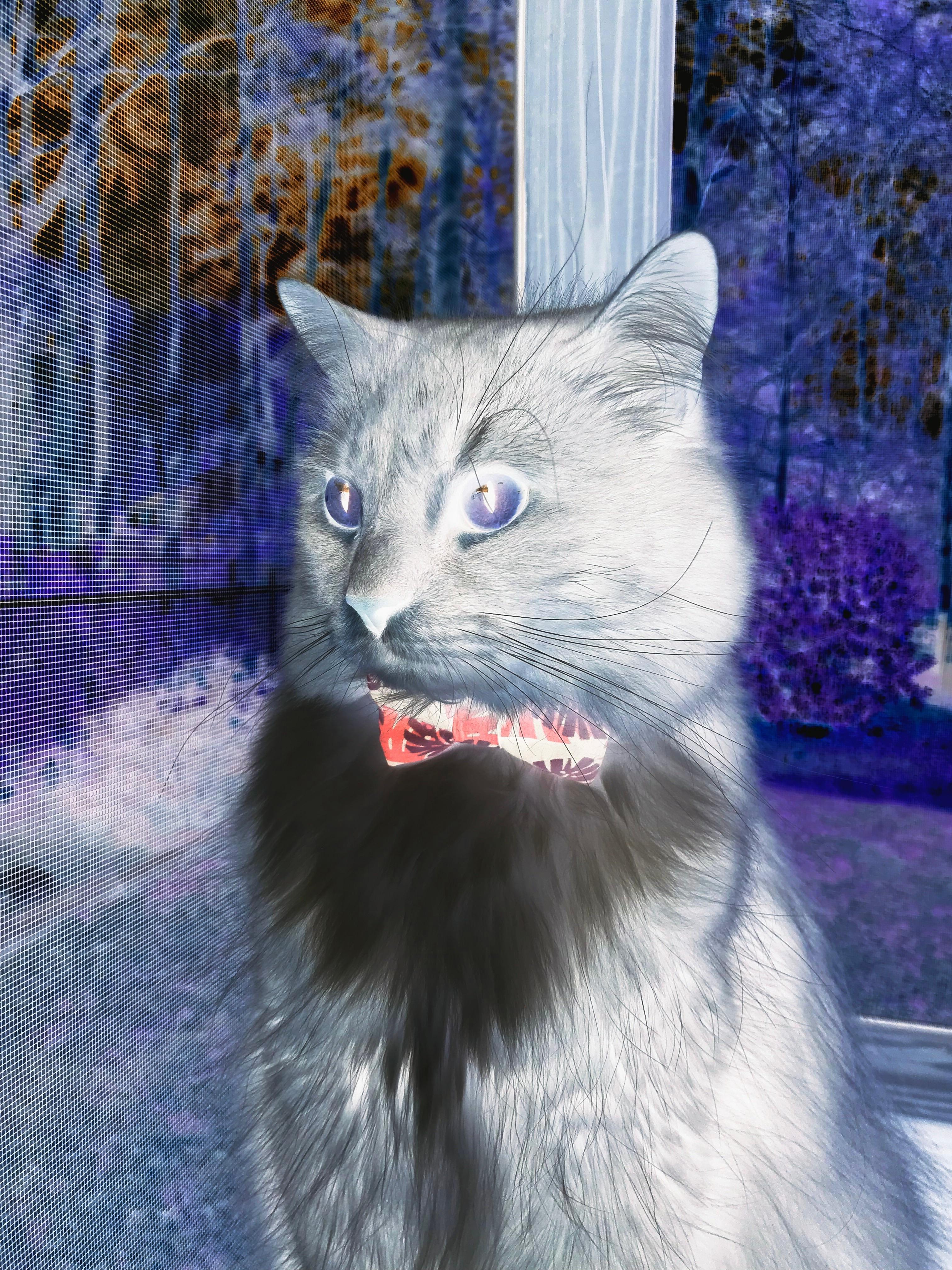 青年运动员成长体系日趋完善,青少年运动员训练长期发展模型包括