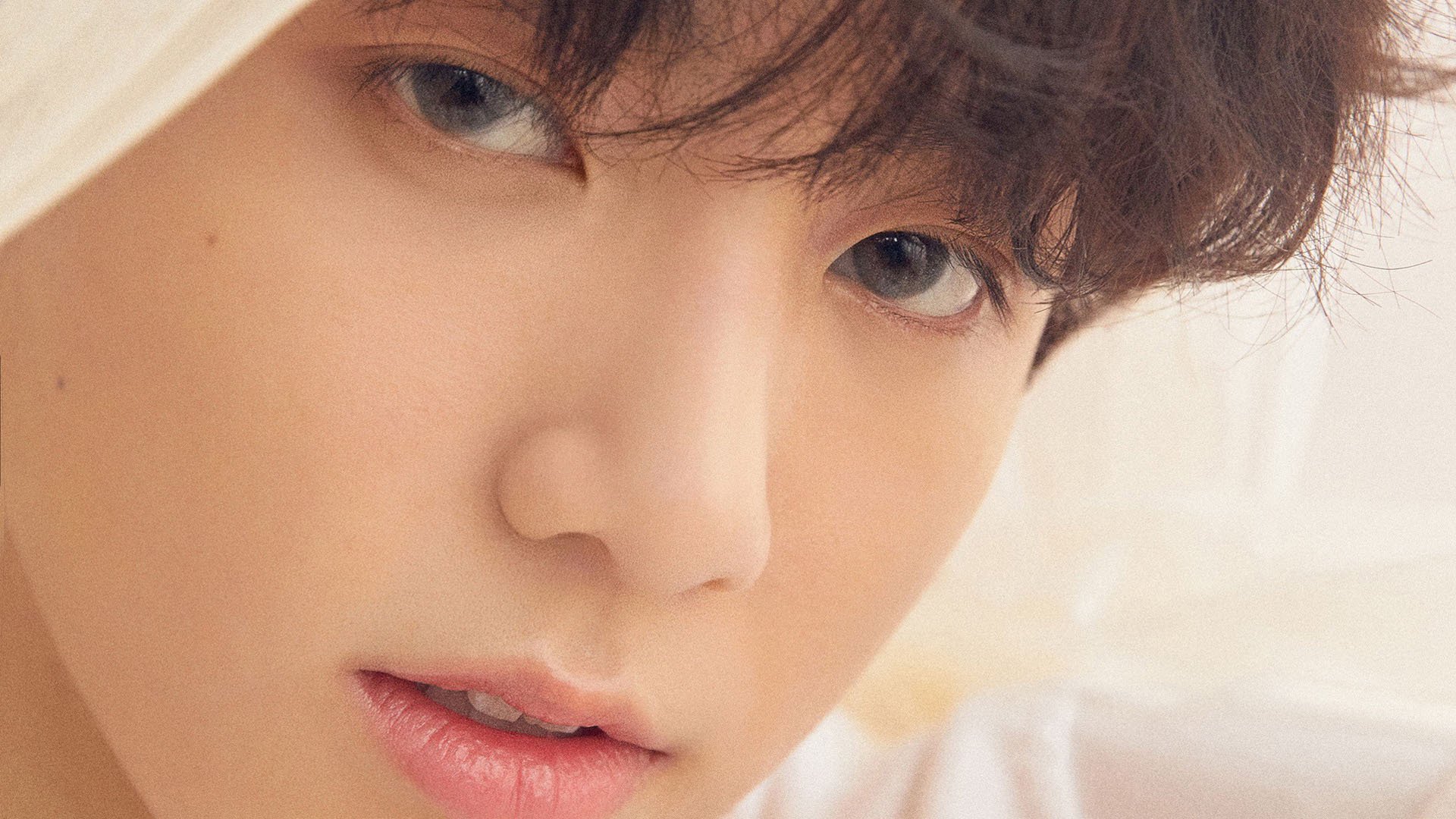 开云官网登录-Kós双项目晋级，显示项目多样性