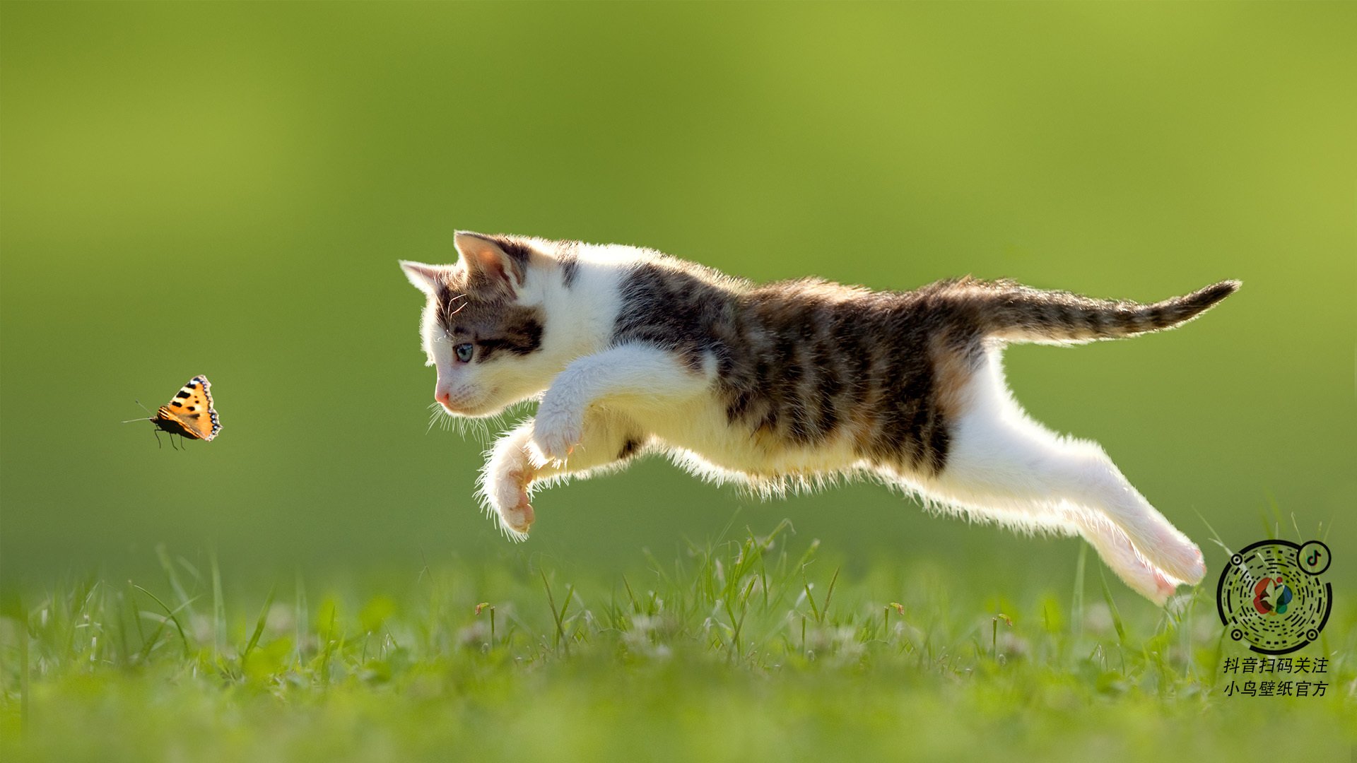 开云官方网页登录-体育场馆环保改造新进展，体育场馆环境问题