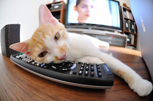 开云真人-卡斯帕·科尔博赛场风采尽显未来潜力，科尔为什么不让帕斯卡尔上场