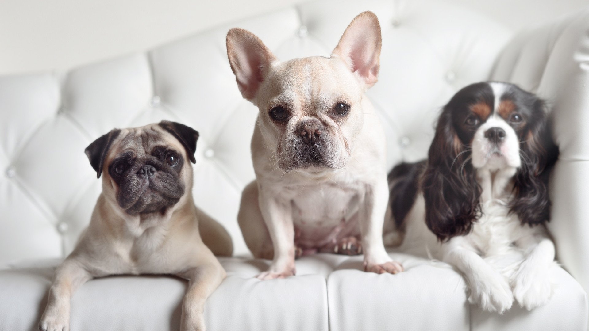 地方篮球协会加强教练员技术交流提升基层教练能力，2020篮球教练员培训